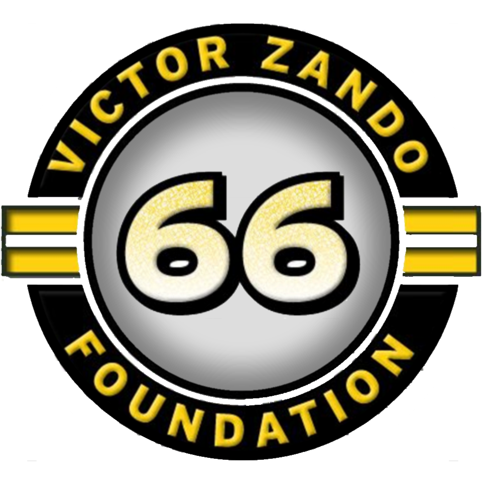 vzf-logo-2
